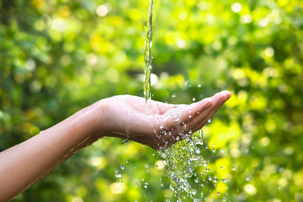 Emergenza siccità: 10 regole per salvaguardare le risorse idriche